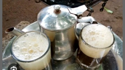 Consommation de l&rsquo;ataï: tout sur le thé vert aux innombrables bienfaits 