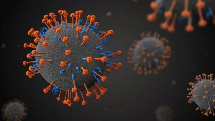 SANTÉ :  Un nouveau virus découvert en Chine
