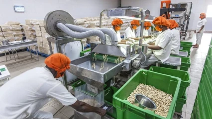BÉNIN/IMPLANTATION D&rsquo;UNE USINE DE TRANSFORMATION DE PRODUITS AGRICOLES :  Le gouvernement autorise la signature de l&rsquo;accord-cadre