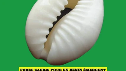 ÉLECTIONS LÉGISLATIVES DE 2023 :  Voici pourquoi il faut voter pour le parti Fcbe