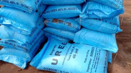 VENTES FRAUDULEUSES D&rsquo;ENGRAIS DE LA SODECO : 16 personnes arrêtées au Port Autonome de Cotonou