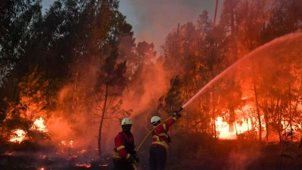 PORTUGAL : Près de 3000 hectares de végétation ravagés par des incendies
