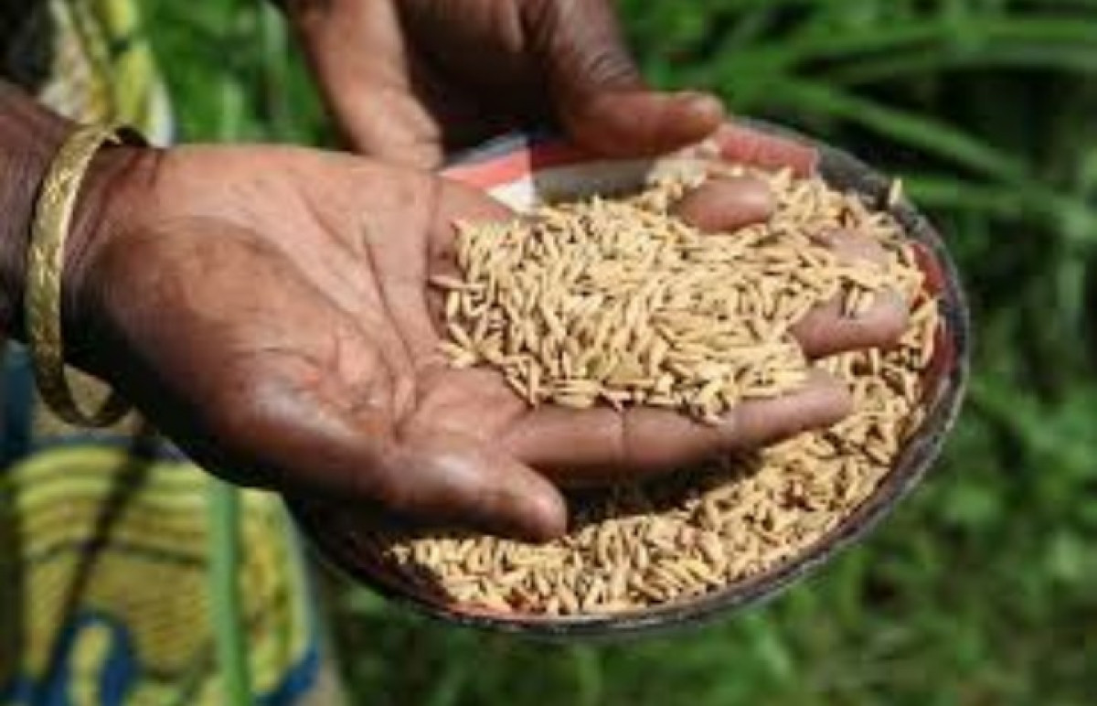 CONSOMMATION LOCALE AU BENIN : Un facteur de développement encore sous-estimé