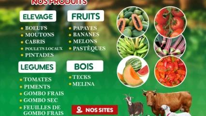 KOCAZI RANCH : L’adresse idéale pour les produits animaliers, maraîchères, agricoles et agroforestiers