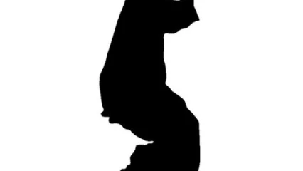 CHRONIQUE DES US ET COUTUMES : Les trois pièges des artistes africains