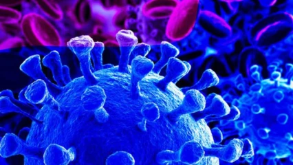GESTION EFFICACE DU CORONAVIRUS EN AFRIQUE : Le Rwanda et le Togo en tête du peloton . Voici le classement complet