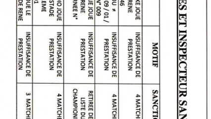 LIGUE 1-2/ MATCH BUFFLES – PANTHERES : L&rsquo;arbitre Rafiou Ligali sanctionné  . La liste des arbitres sanctionnés