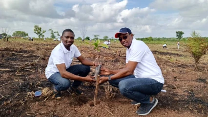 POUR UNE MEILLEURE PRODUCTIVITE À TRAVERS LES PLANTS PERFORMANTS D’ANACARDIERS : Pro-Cashew et la Fenapab mettent en terre 200 plants à Kétou . Usda, partenaire financier