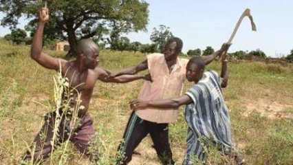 BÉNIN :  Deux blessés par balles dans un conflit entre éleveurs et agriculteurs 