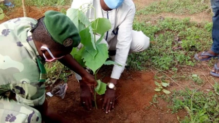 JOURNÉE DE L&rsquo;ARBRE A NIKKI : 2 500 plants mis en terre