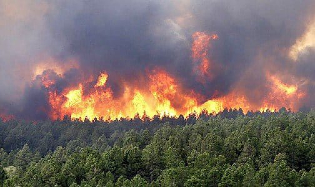 MAROC : Un millier d&rsquo;hectares de forêt parti en fumée  . 500 familles évacuées