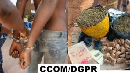 Lutte contre le trafic des stupéfiants: des trafiquants interpellés à Djougou et Ouèssè 
