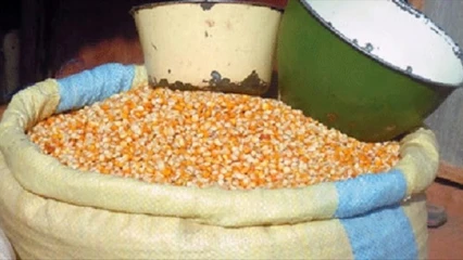 Bénin: l’exportation des produits vivriers à nouveau autorisée