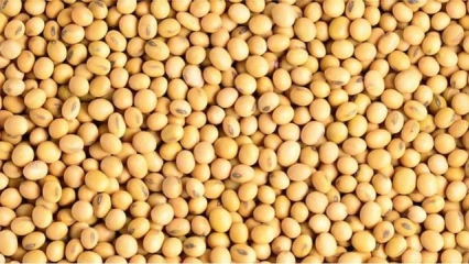 RACHAT DES STOCKS DE SOJA AU BÉNIN : L’appel de la Sipi-Bénin aux producteurs retardataires