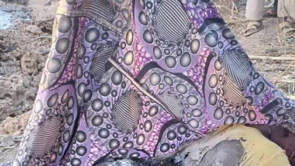 COMMUNE DE NIKKI : Une dame de la quarantaine retrouvée morte à Fô-Daru