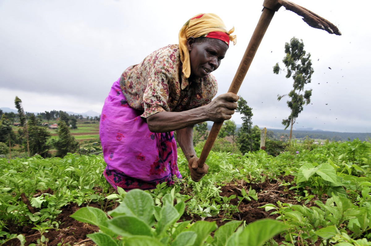 FINANCEMENT DE LA CAMPAGNE AGRICOLE 2021-2022 AU BENIN : Les stratégies et la priorité du gouvernement Talon