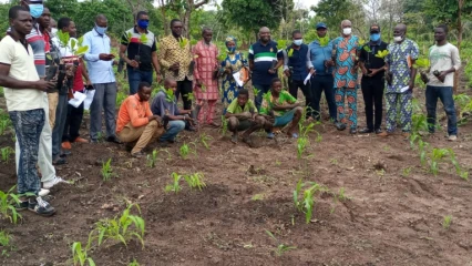 PROMOTION DE LA FILIERE ANACARDE AU BENIN : Pro-Cashew, un vaste projet pour concrétiser la vision du gouvernement . 25 000 plants greffés prévus pour être distribués en 2021