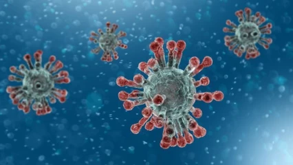 CORONAVIRUS  : Le Niger enregistre son premier cas