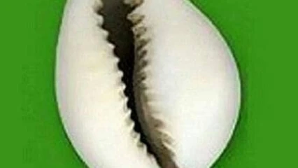 RECONNAISSANCE DES PARTIS POLITIQUE AU BÉNIN : Les Fcbe obtiennent leur récépissé provisoire