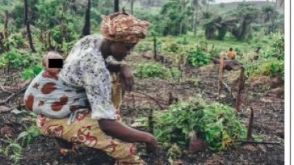 JOURNÉE INTERNATIONALE DE LA FEMME AU BÉNIN : La femme rurale, l’autre victime de l’inégalité