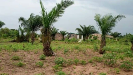 FONCIER AU BÉNIN : La délivrance de l’Attestation de Détention Coutumière suspendue