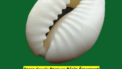 COMMUNE DE N’DALI :  Sept conseillers communaux claquent la porte aux Fcbe