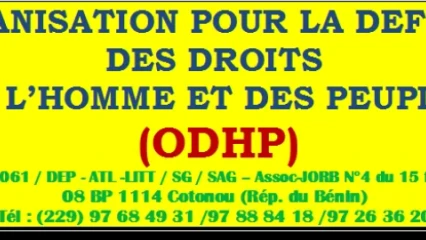 BÉNIN : L’Odhp condamne et exige la libération de Reckya Madougou