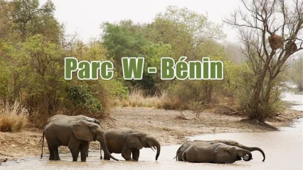 BÉNIN/ATTAQUES TERRORISTES AU PARC W : Un coup dur pour le tourisme