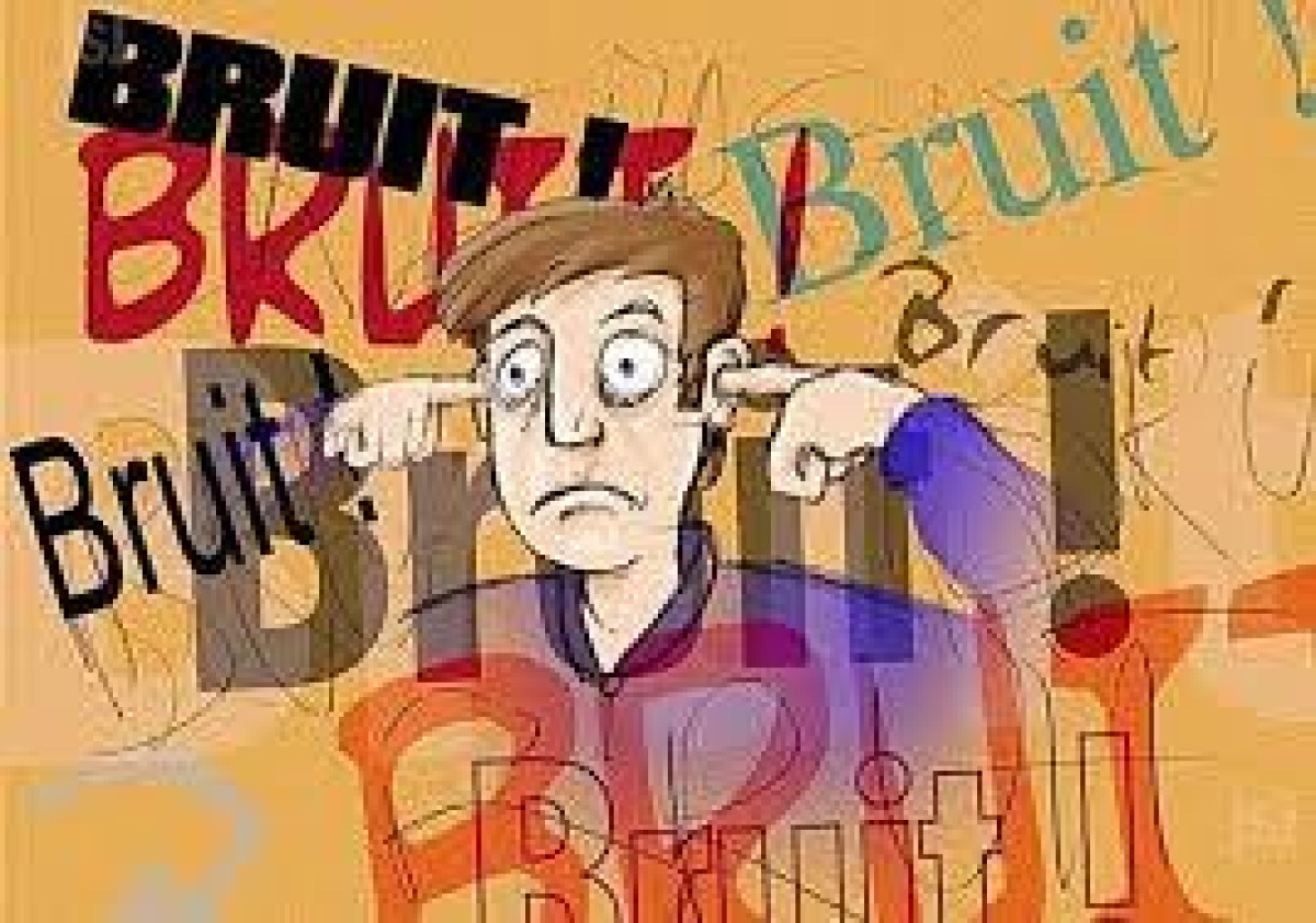 NOUVELLE MESURE DE LUTTE CONTRE LA POLLUTION SONORE AU BÉNIN : L’application sur le terrain, le véritable travail 