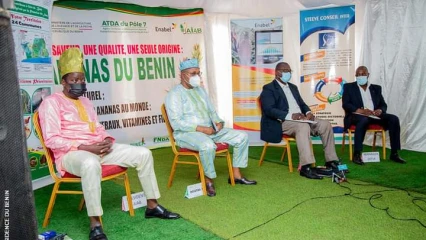 PREMIERE EDITION DES JOURNEES DE L&rsquo;ANANAS DU BENIN : Les acteurs se donnent la main pour une revalorisation de la filière
