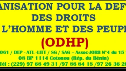 BÉNIN : L’Odhp condamne et exige la libération de Reckya Madougou