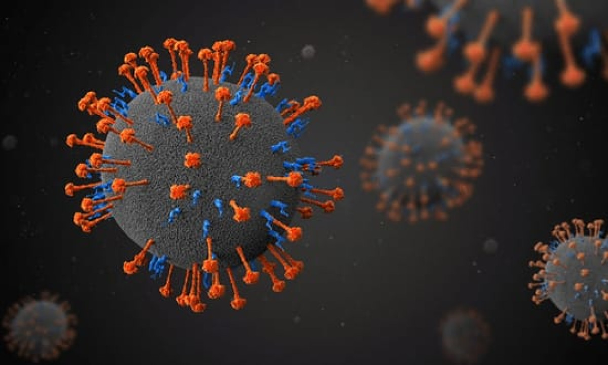 SANTÉ :  Un nouveau virus découvert en Chine