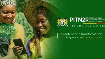 RECRUTEMENT D&rsquo;AGENTS D&rsquo;APPUI DU PITN2R : Liste des 68 candidats retenus