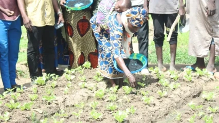 Utilisation du compost et du biochar dans le maraîchage: une pratique agroécologique pour une agriculture durable, saine et résiliente      