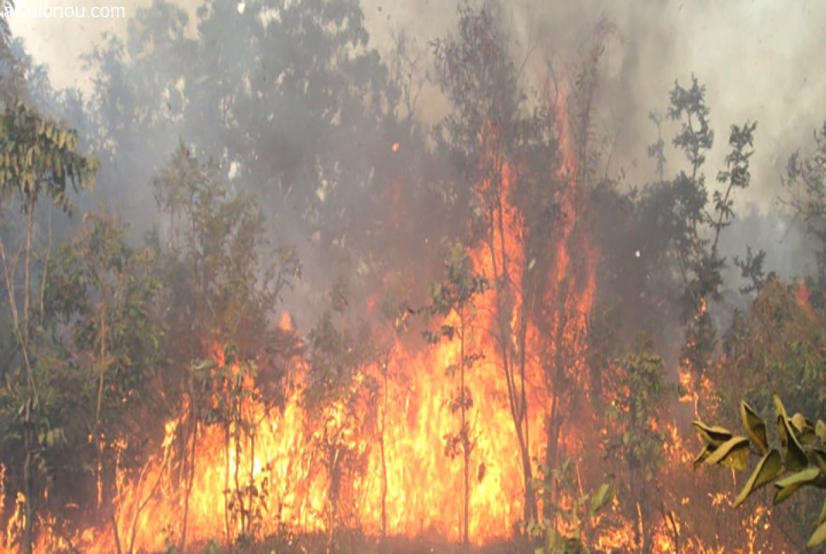 FEUX DE BROUSSE TARDIFS AU BÉNIN : Une pratique dangereuse pour l&rsquo;environnement