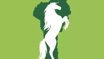 COMMUNALES DU 17 MAI PROCHAIN : La cité impériale adopte le cheval cabré  .Voici les raisons