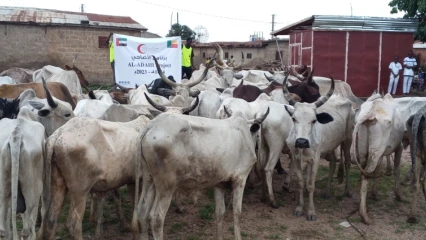 DISTRIBUTION DE VIANDE DE TABASKI À PARAKOU GRÂCE À ÉMIRATS RED CRESCENT : Al-Islaah fait vivre la joie de l’Aïd El Kébir à 500 fidèles musulmans  . 40 bœufs immolés pour la circonstance