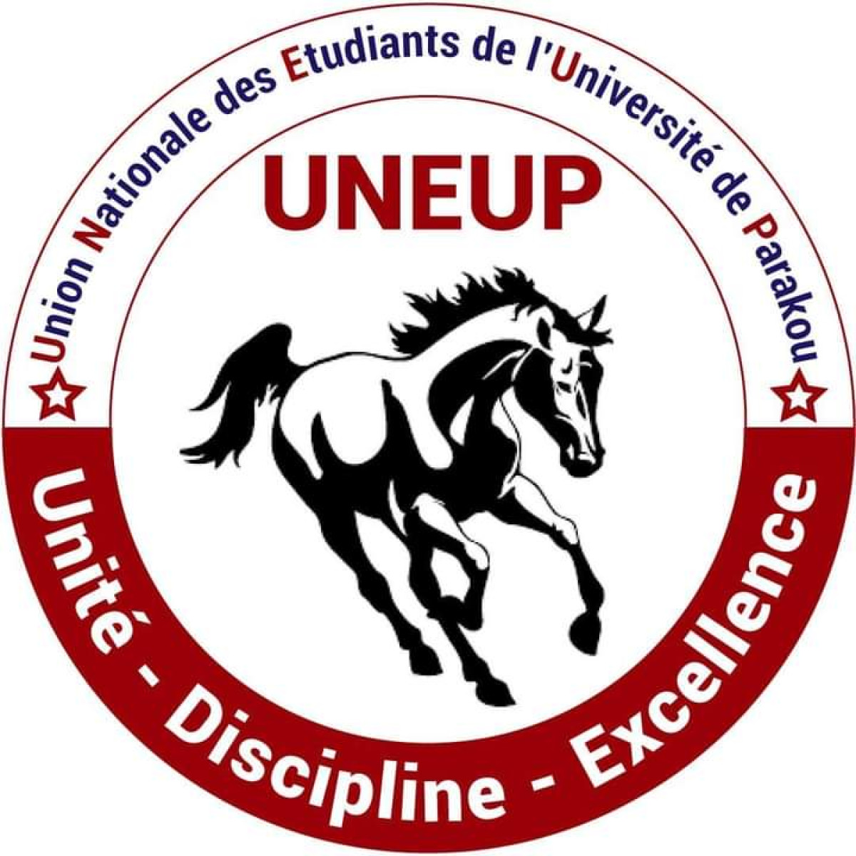 ÉLECTION DES ORGANISATIONS ESTUDIANTINES LES PLUS REPRESENTATIVES A L&rsquo;UP : L&rsquo;Uneup en tête après les résultats provisoires