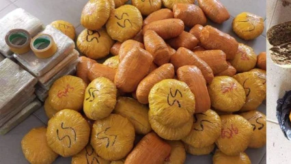 DÉPARTEMENT DE L’OUÉMÉ : La police saisit 83 emballages de chanvre indien à Gbéflomè