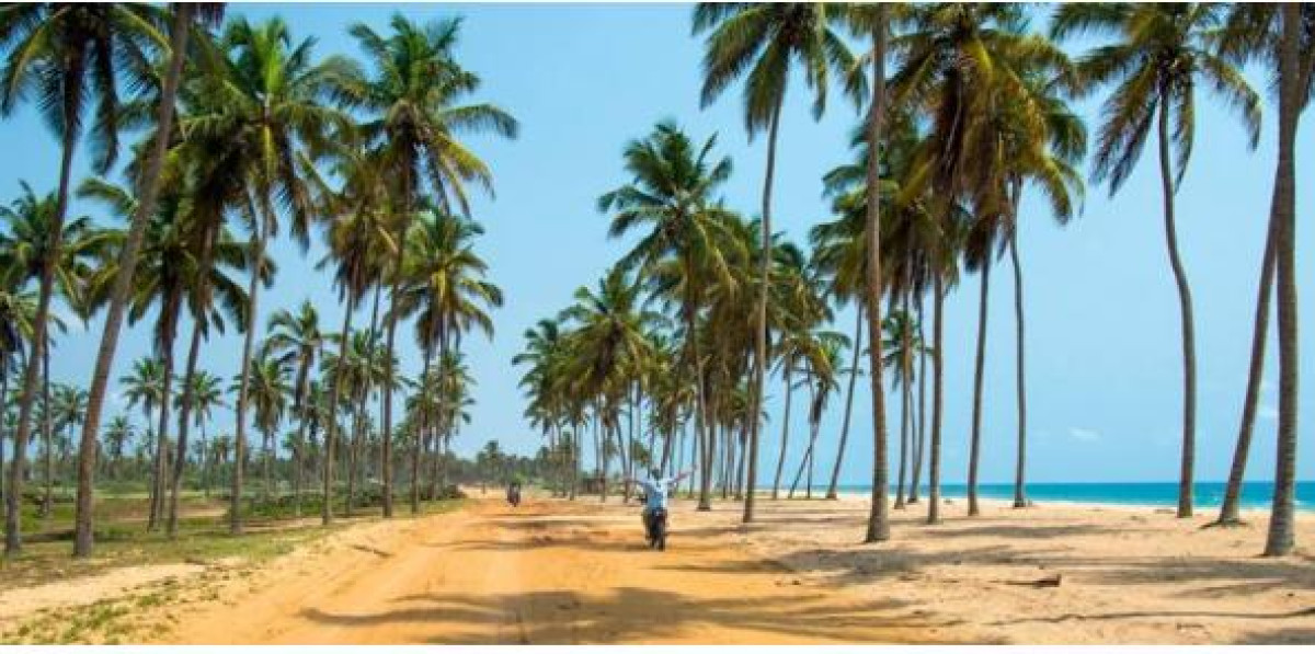 APRÈS TROIS ANS DE REFORMES SOUS TALON : Que retenir au plan environnemental dans le Borgou-Alibori ?