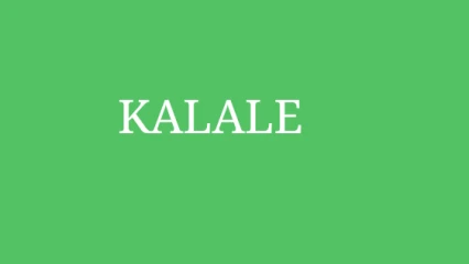 DÉCENTRALISATION : Le nouveau maire de Kalalé connu ce jour