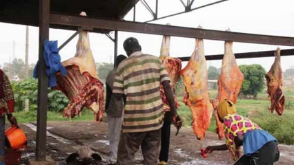 INSPECTION DE L’ABATTOIR DE PARAKOU PAR LE DG DE L’ABE : Dr François-Corneille Kèdowidé recommande la délocalisation du bâtiment