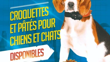 POUR TOUT BESOIN DE CROQUETTES ET PÂTÉS POUR CHIENS ET CHATS : L’Ets Claudio’s ouvre ses portes à Parakou  . Contactez l’établissement Claudio’s au 66 66 49 10 à Parakou