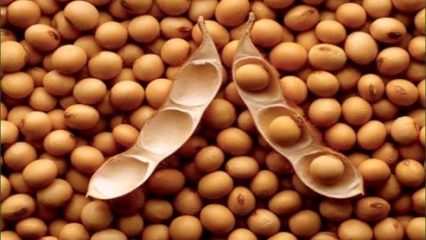 CAMPAGNE DE COMMERCIALISATION 2021-2022 DE SOJA : Le prix plancher fixé à 190 Fcfa/kg . Le lancement prévu pour le 25 novembre à Djidja