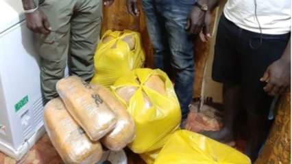 BÉNIN : La drogue circule comme ce n’est pas permis