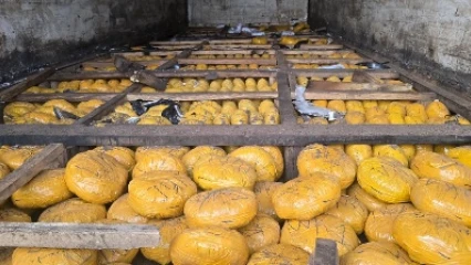 Déménagement d'un réseau de trafic de stupéfiants à Tchaourou: la police saisie 2 450,61 kg de drogue à Bétérou