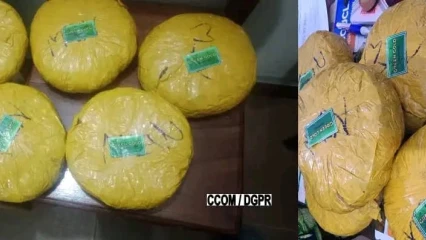 Cotonou: la police intercepte des produits psychotropes destinés à l’hinterland 