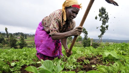 FINANCEMENT DE LA CAMPAGNE AGRICOLE 2021-2022 AU BENIN : Les stratégies et la priorité du gouvernement Talon