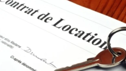 CONTRAT TYPE DE BAIL À USAGE DOMESTIQUE : Les nouvelles exigences du bailleur et du locataire