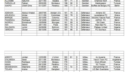 CAN EGYPTE 2019 : Voici la liste de Dussuyer